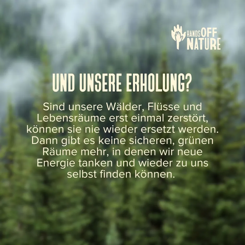 Und unsere Erholung? Sind unsere Wälder, Flüsse und Lebensräume erst einmal zerstört, können sie nie wieder ersetzt werden. Dann gibt es keine sicheren, grünen Räume mehr, in denen wir neue Energie tanken und wieder zu uns selbst finden können.